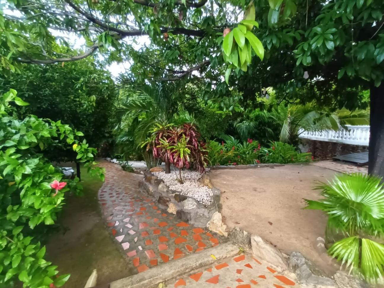 Finca De Nosotros Bonda Dış mekan fotoğraf